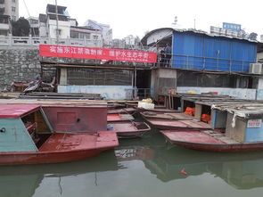 龙川县畜牧兽医渔业局 推动畜牧渔业饲料销售，助力现代农牧业发展