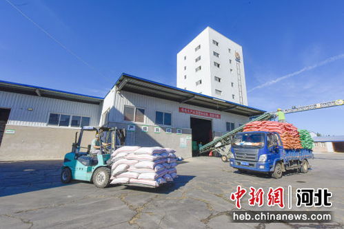 河北广阳 以优质饲料品牌建设为引擎，驱动畜牧渔业高质量发展