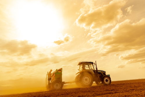 光影映照丰收景 集团八幅作品在农垦渔业畜牧系统职工摄影赛中斩获殊荣