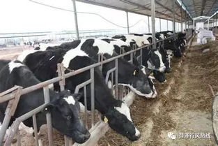 聚焦饲料质量与养殖效益——10月23日“行风热线”上线单位 畜牧渔业饲料销售单位