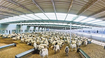 西藏加快建立以产业扶贫为中心的长效增收机制——畜牧渔业饲料销售的转型与升级